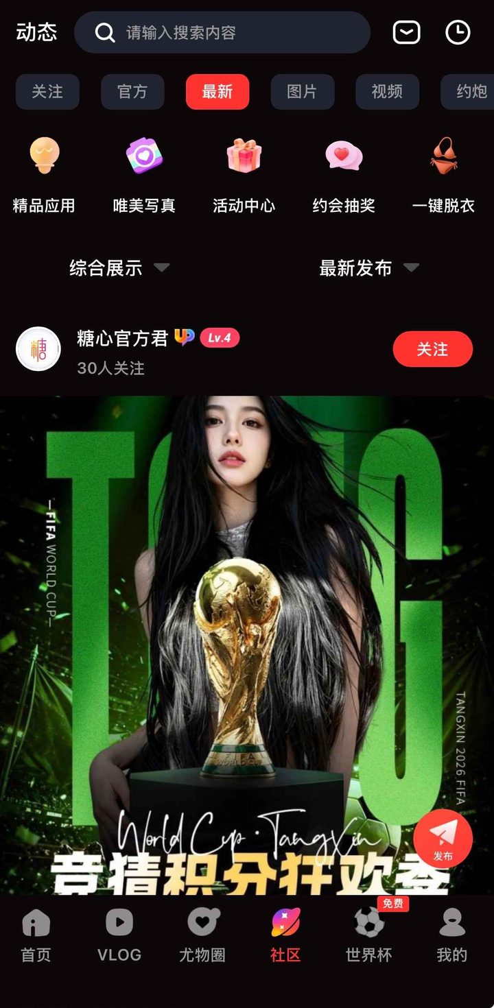 版本与标识核对示意